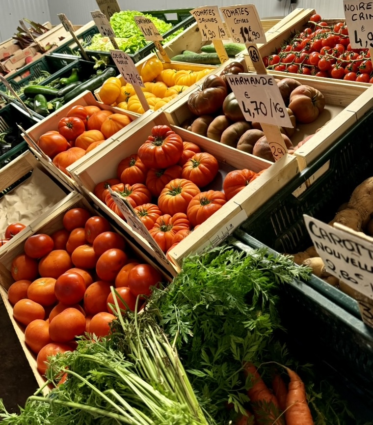 Fruits et légumes frais en direct des producteurs